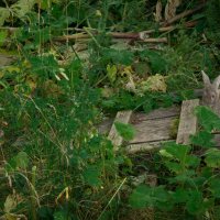 без названия :: fogmeadowww m