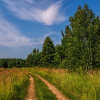 Утро июль :: Андрей Дворников