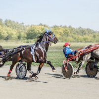 Пробежка :: SanSan 
