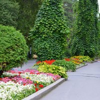 Здравствуй,  Август! :: Татьяна Лютаева