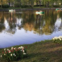 Парковые зарисовки.На пруду . :: Лилия * Парковые зарисовки.На пруду . :: Лилия *