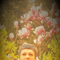 Магнолии :: Лана Магнолии :: Лана