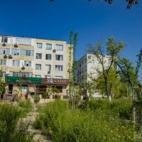 Зелёный уголок :: Анатолий Чикчирный Зелёный уголок :: Анатолий Чикчирный