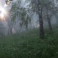 Утренний туман :: Марина Фомина. Утренний туман :: Марина Фомина.