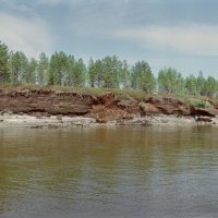 Торфяник. Берег Оби. :: Евгений Золотаев