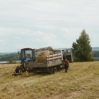 Август в карельской глубинке. Сенокос ☀️ :: Иван 