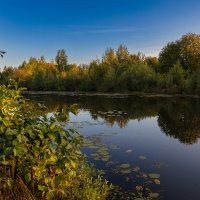 Пейзаж на речке :: Александр Синдерёв