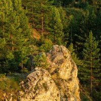 Живописная скала на берегу Каменки :: Любовь Сахарова