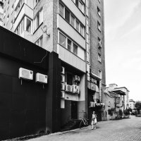 №343 :: Alex Bes