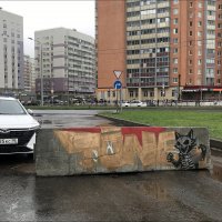 "Стой, кто идет? Предъявите паспорт!" :: zavitok *
