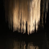 Ледяная эстетика зимнего утра. :: Анатолий Щербак