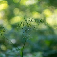 ___ :: Yuriy V