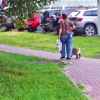 Август... А мы- пешком с песиком! :: Владимир 