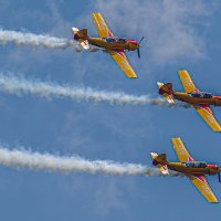 Вива авиа Новосибирск 2026