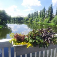 Август :: Сеня Белгородский