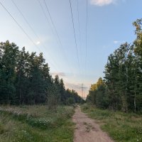 Дорога