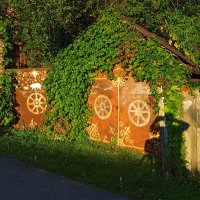 В лучах заходящего солнца
