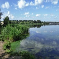 Зацвела водичка.