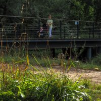 Прогулки в Летнем Парке