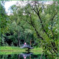Кусковский лесопарк в Москве