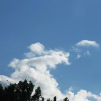 Интересное облако