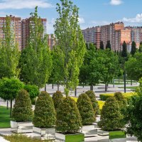 Краснодар, парк Галицкого