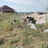 Солдатское ущелье.  Талгар.