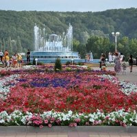 Городской парк 2012 год .