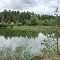 Лесное озеро :: Наталья Герасимова