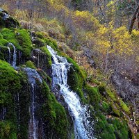 Лесной водопад