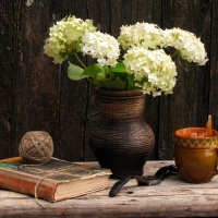 "Жизненный клубок"... :: Татьяна Гнездилова "Жизненный клубок"... :: Татьяна Гнездилова