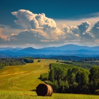 Август, сенокос.