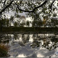 Оснгь приближается