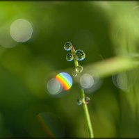 ФОТОЗАРИСОВКА .