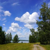 Июльский берег Оби :: Галина Кан