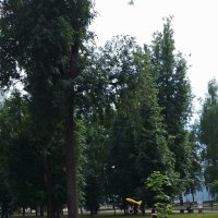 Мобильное фото :: Валентина Береснева Мобильное фото :: Валентина Береснева