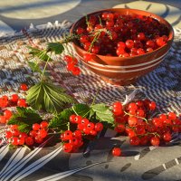 Ягодное изобилие :: Татьяна Лютаева Ягодное изобилие :: Татьяна Лютаева