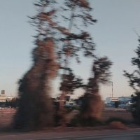 14  КЛОС (734) :: CLOSE WAYS ALL