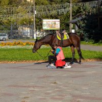 Катание на лошади :: Александр Синдерёв