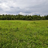 Хмурое утро :: Маргарита Б