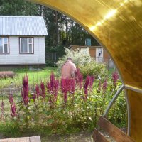 Дачные мотивы и сам дачник...