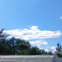 на катере :: Владимир 