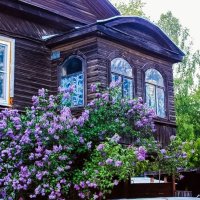 Сирень у дома :: Сергей 