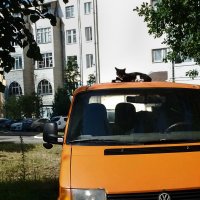 Мобильное фото