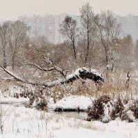 .. снег идёт на Рождество...
