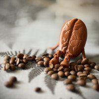 Кофейные зерна.