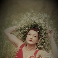 Венок :: Лана 