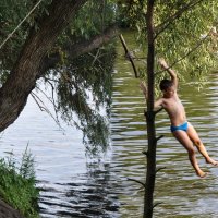 На тарзанке прокатись!