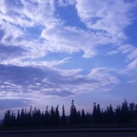 118 (84) :: СТРЕН 