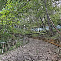 Серпантин к морю